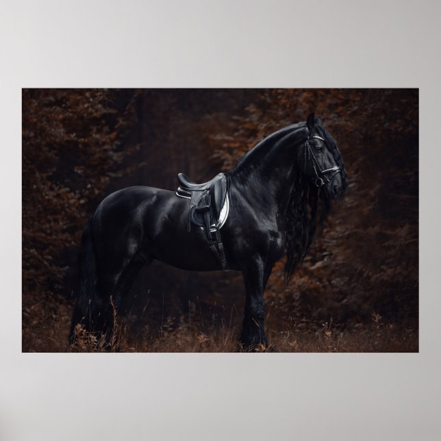Stunning Elegant Sport Dressage Friesian Stallion Poster (Framsidan)