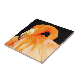 Stunning Flamingo Bird i Sommaren Sol Kakelplatta