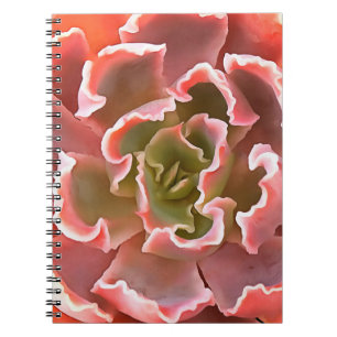 Stunning Garden Succule Rosa Tones Realistic Art Anteckningsbok