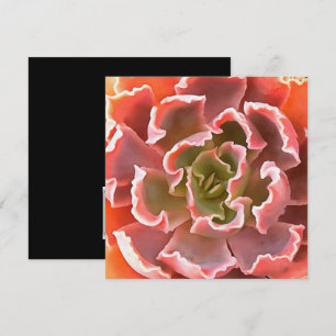 Stunning Garden Succule Rosa Tones Realistic Art Inbjudningar
