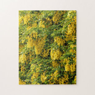 Stunning Golden chain/Laburnum Träd Pussel