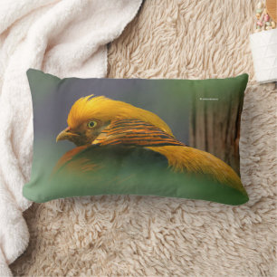 Stunning Golden Pheasant Gamebird Lumbarkudde