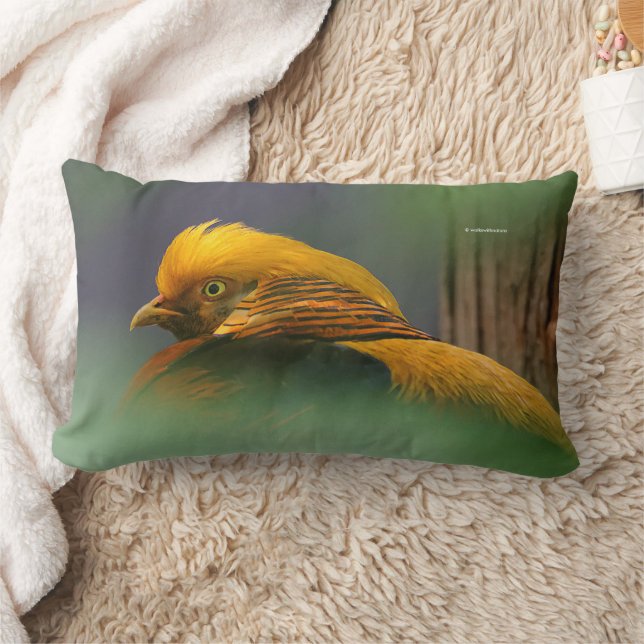 Stunning Golden Pheasant Gamebird Lumbarkudde (Filt)