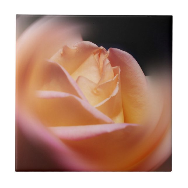 Stunning Gul ros Flower Kakelplatta (Framsidan)