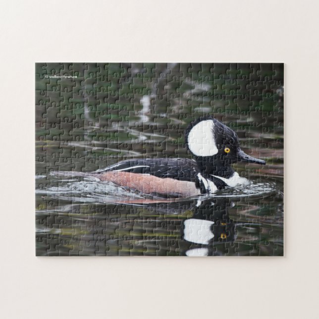 Stunning Hooded Merganser Anka i Pond Pussel (Horisontell)