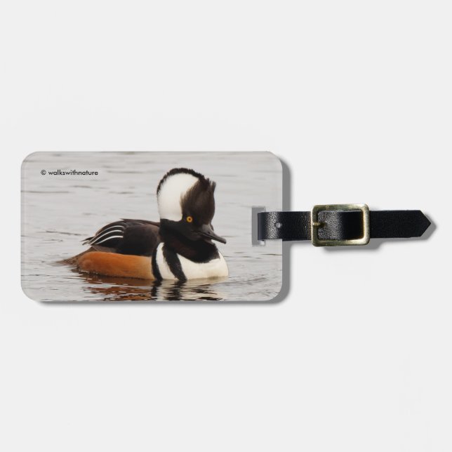 Stunning Hooded Merganser Anka vid dammen Bagagebricka (Horisontell Framsida)