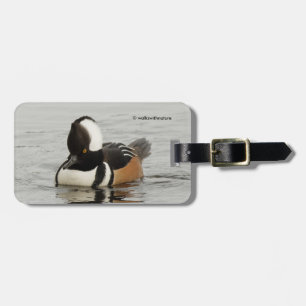 Stunning Hooded Merganser Anka vid dammen Bagagebricka