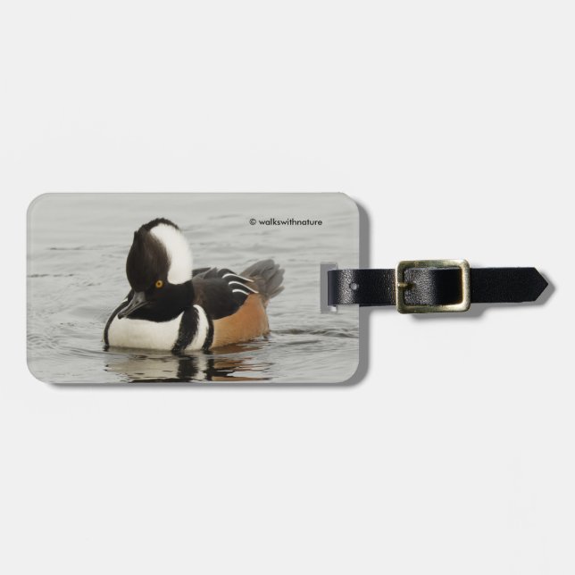 Stunning Hooded Merganser Anka vid dammen Bagagebricka (Horisontell Framsida)