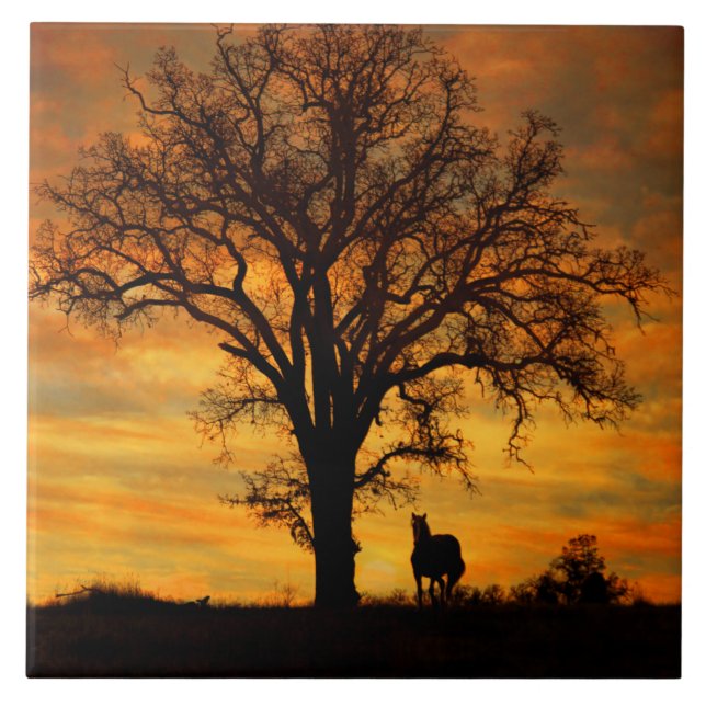 Stunning Horse and Oak Träd Nature Southwest Kakelplatta (Framsidan)
