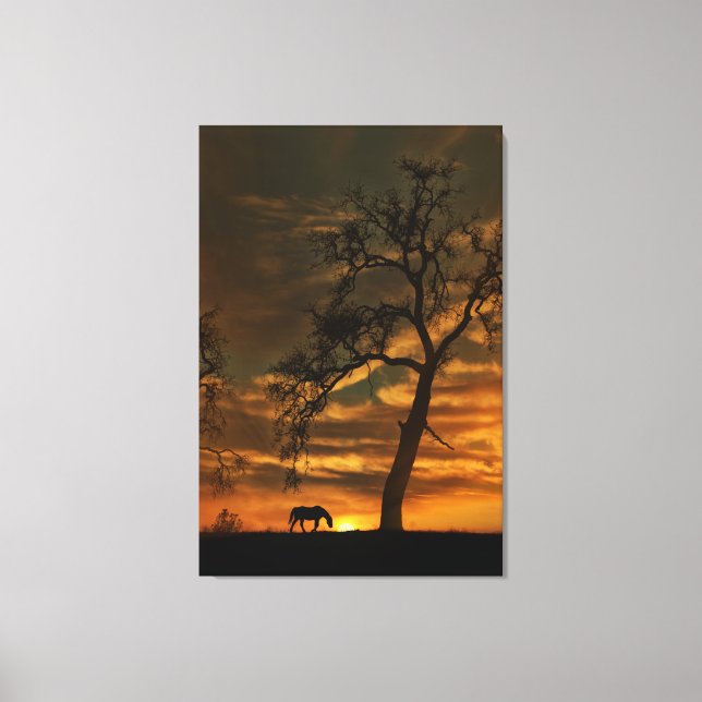 Stunning Horse Canvas Wall Art (Framsida)