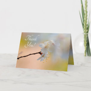 Stunning japansk Apricot Flowers Tack Kort