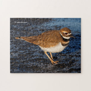 Stunning Killdeer Shorebird på Isigen Mudflats Pussel