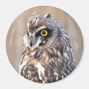 Stunning Kort-Eared Uggla i marscherna Magnet