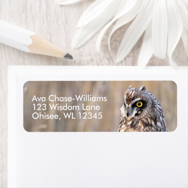 Stunning Kort-Eared Uggla i marscherna Returadress Etikett (Insitu)