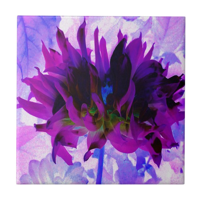 Stunning Lila och Black Cactus Dahlia Kakelplatta (Framsidan)