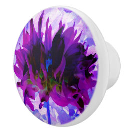 Stunning Lila och Black Cactus Dahlia Knopp