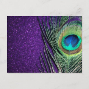 Stunning Lila Peacock Vykort