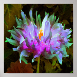 Stunning Magenta och Lime Green Cactus Dahlia Poster