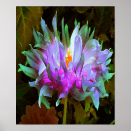 Stunning Magenta och Lime Green Cactus Dahlia Poster