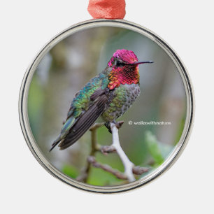 Stunning Male Anna Hummingbird på Plum Träd Julgransprydnad Metall