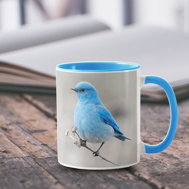 Stunning Mountain Bluebird Songbird på Tansy Mugg (Stunning Mountain Bluebird on Tansy Coffee Mug 5-Star Customer Review.)