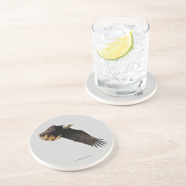 Stunning Örn Bird of Be in Flight Underlägg (Sidan)