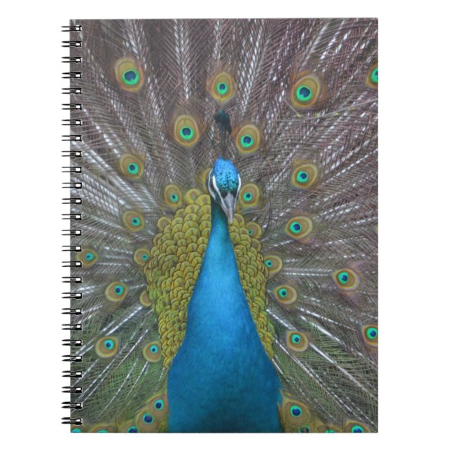 Stunning Peacock Anteckningsbok Med Spiral (Framsidan)