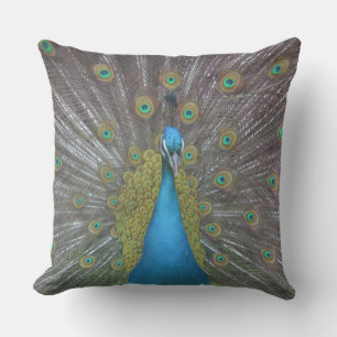 Stunning Peacock Kudde