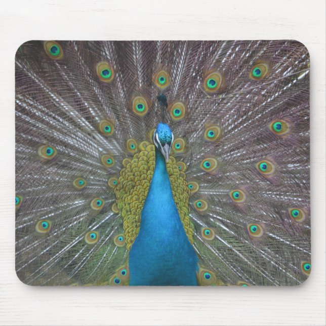 Stunning Peacock Musmatta (Framsidan)