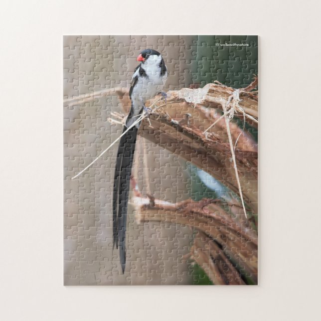 Stunning Pin-Tails Whydah Songbird Pussel (Vertikal)