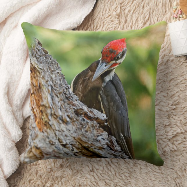 Stunning Portrait of Pileated Woodpecker in Tree Kudde (Filt)