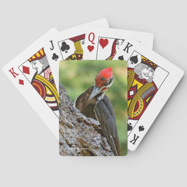 Stunning Portrait of Pileated Woodpecker on Tree Casinokort (Baksidan)