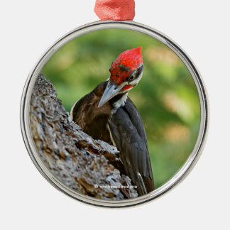 Stunning Portrait of Pileated Woodpecker on Tree Julgransprydnad Metall
