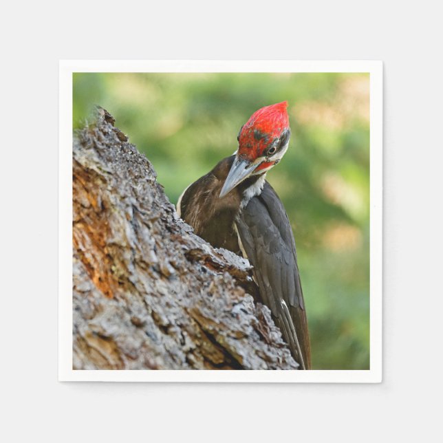 Stunning Portrait of Pileated Woodpecker on Tree Pappersservett (Framsidan)