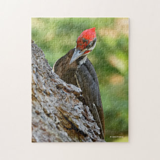 Stunning Portrait of Pileated Woodpecker on Tree Pussel