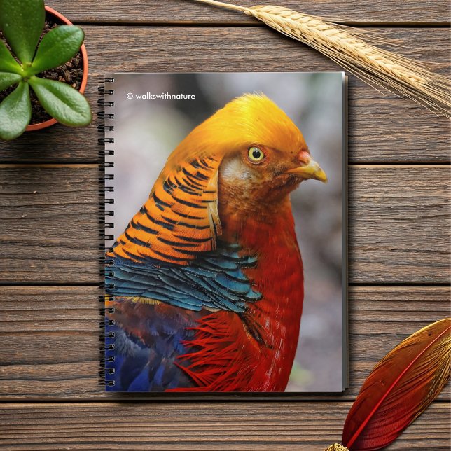 Stunning Profile of a Red Golden Pheasant Anteckningsbok Med Spiral (Profile of a Red Golden Pheasant Journal Cover Photo)