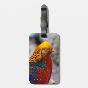 Stunning Profile of a Red Golden Pheasant Bagagebricka