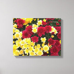 Stunning Red Guld Autumn Chrysanthemum Flowers Canvastryck
