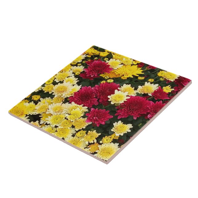 Stunning Red Guld Autumn Chrysanthemum Flowers Kakelplatta (Sidan)