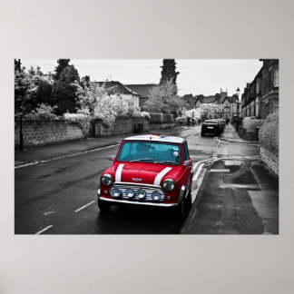 Stunning Red Mini Poster