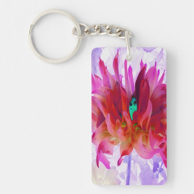 Stunning Red och Shock rosa Cactus Dahlia (Framsidan)