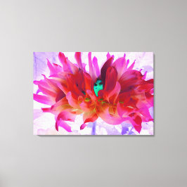 Stunning Red och Shock rosa Cactus Dahlia Canvastryck