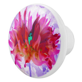 Stunning Red och Shock rosa Cactus Dahlia Knopp