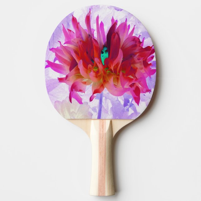 Stunning Red och Shock rosa Cactus Dahlia Pingisracket (Framsidan)