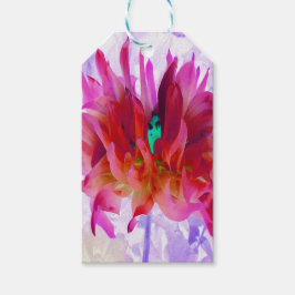 Stunning Red och Shock rosa Cactus Dahlia Presentetikett