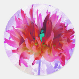 Stunning Red och Shock rosa Cactus Dahlia Runt Klistermärke