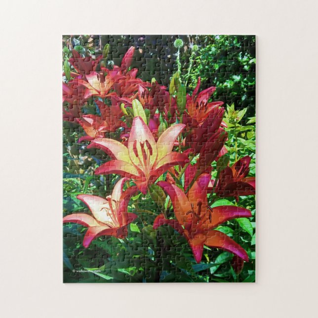 Stunning Red Orange Asiatic Lilies Flowers Pussel (Vertikal)