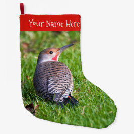 Stunning Red-Shafted Northern Flicker Woodpecker Stor Julstrumpa