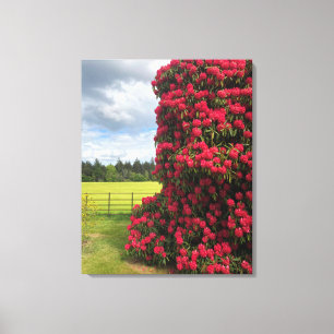 Stunning Rhododendron and Scenia View in Scotland Canvastryck