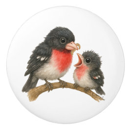 Stunning Ro Brested Grosbeak Knopp